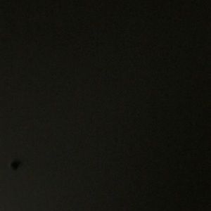 Meet your Posher, Quincy